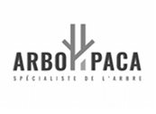arbo-paca